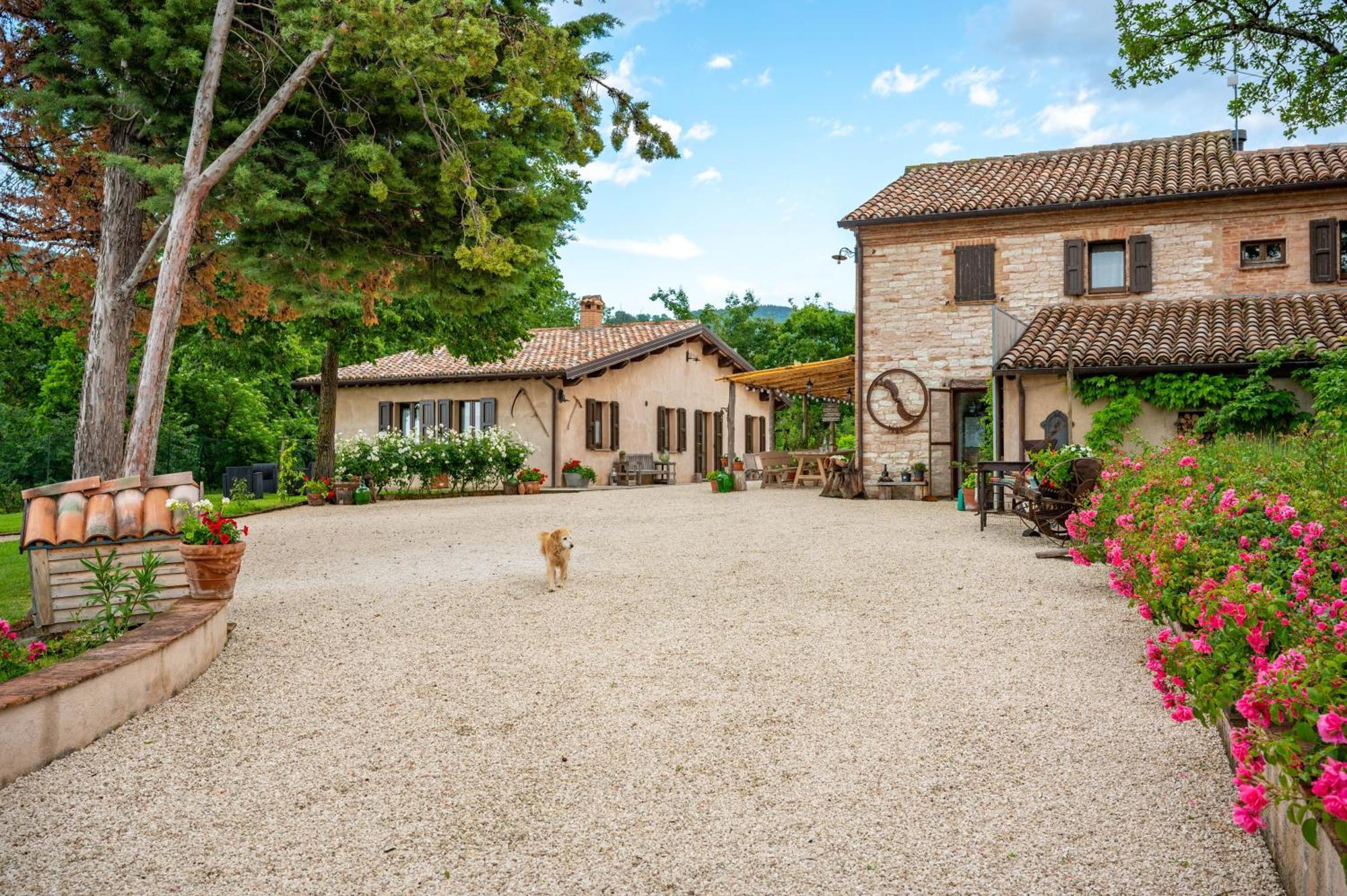 Agriturismo Il Castellaro Sassoferrato Exterior foto